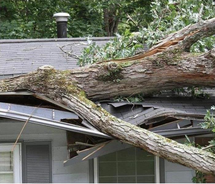 If you have storm damage, contact SERVPRO of Montgomery County today!
